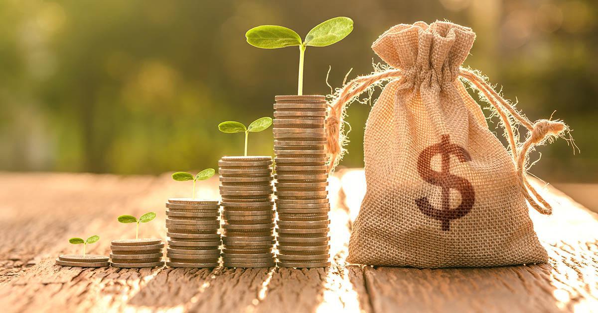 Decorative. Ascending stacks of coins with seedlings growing from them sit on an outdoor, wooden table next to a small burlap bag tied with a string that has a dollar sign printed on the front. A sunbeam hits the coins and bag from behind and to the right. THere is a large shrub and lawn in the middle ground on the far right of the frame. In the background is leafy woods.
