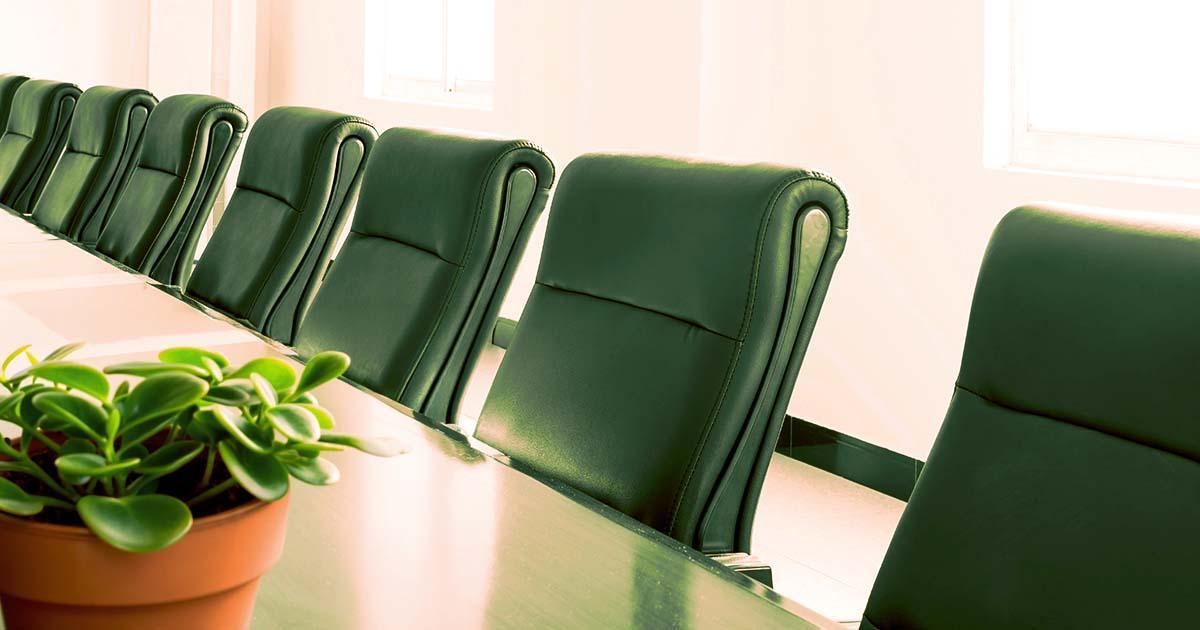 Decorative. A boardroom with long table and many identical chairs. Large windows are in the background. A potted houseplant is in the foreground on the table.