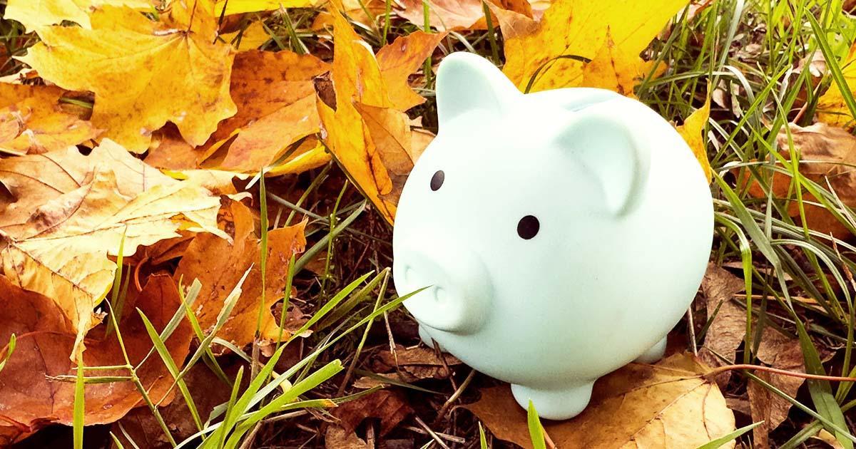 Illustrative. Autumn leaves on the grass with a ceramic piggy bank on the right side of the image.