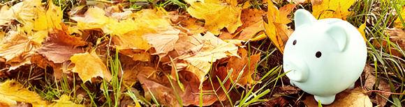 Illustrative. Autumn leaves on the grass with a ceramic piggy bank on the right side of the image.