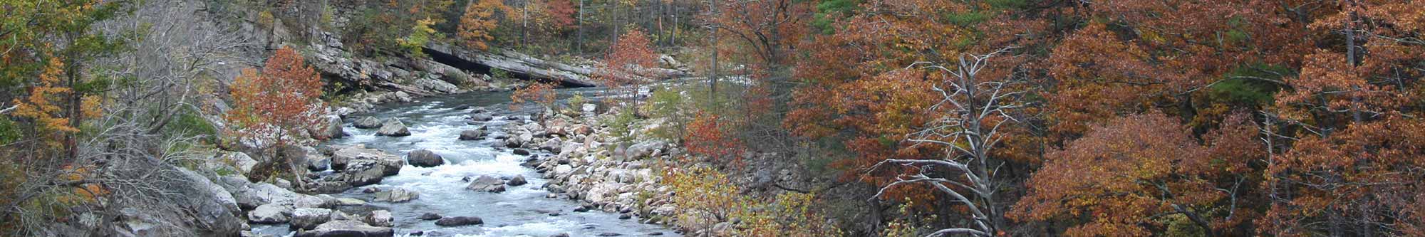 Fall Stream - Virginia Department of Forestry